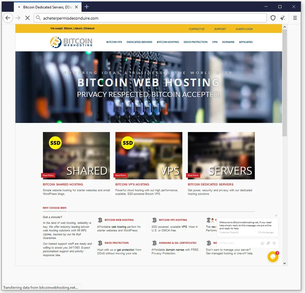 Bitcoin web hosting