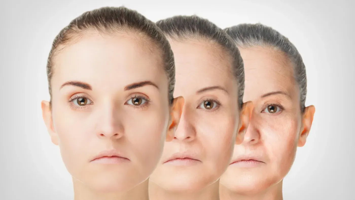 Scientists find hidden driver of aging and a simple amino acid that fights memory loss in mice