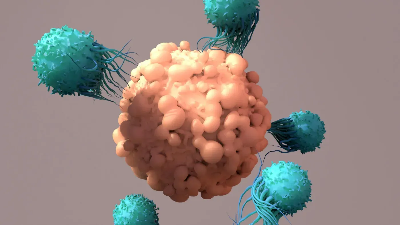 Scientists reprogram immune cells inside the body to fight cancer
