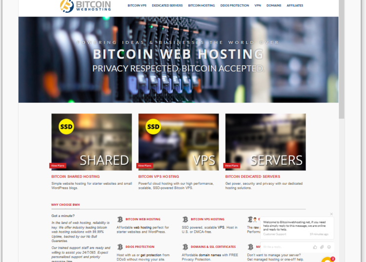 Bitcoin web hosting