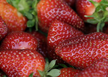 13 hospitalized amid Hepatitis A outbreak tied to strawberries