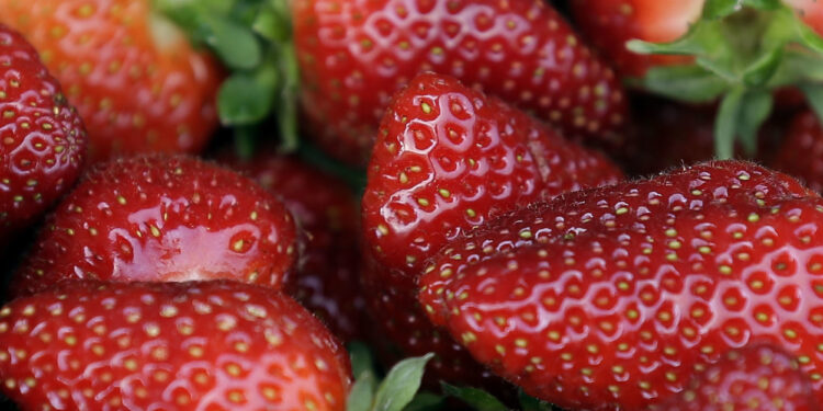 13 hospitalized amid Hepatitis A outbreak tied to strawberries