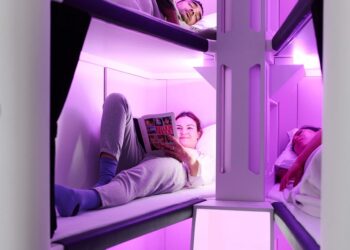 The "Skynest" concept includes six full-length sleeping pods.