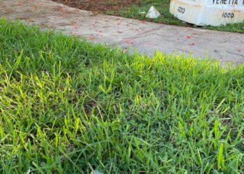 Local police said that most of the fliers were left on lawns in front of homes in Coral Gables before dawn on Tuesday.