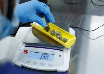 Nick D'Amelio measures 3.58 grams of marijuana while processing at the TerrAscend plant in Boonton, NJ.
