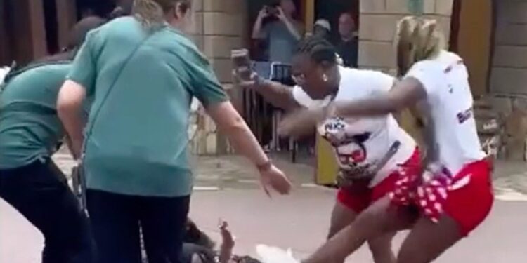 A brawl was caught on camera at Disney World involving multiple people / families