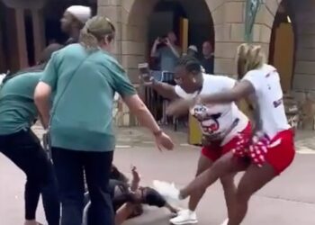 A brawl was caught on camera at Disney World involving multiple people / families