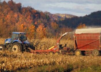 Washington County is an enclave of upstate New York that hugs the border with Vermont.