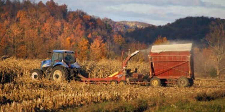 Washington County is an enclave of upstate New York that hugs the border with Vermont.