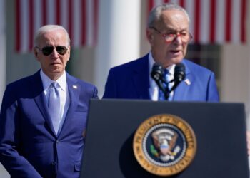 The IRS will likely receive $80 billion in funding after Senate Democrats passed the Inflation Reduction Act over the weekend.