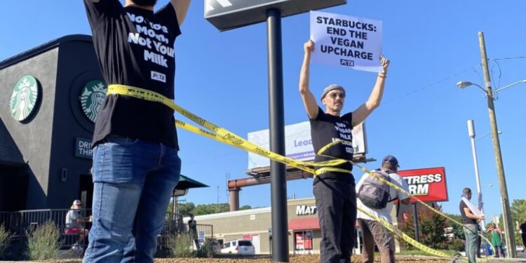 protestors standing on cement blocks.