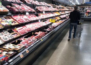 Packaged meat in a grocery store.