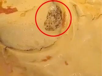"Went to open my double cheeseburger to hear buzzing and to my surprise I open the wrapper and a fly flies out and found loads of fly eggs, I feel absolutely sick!" fumed Georgia Poole, 18, on Facebook.