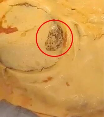 "Went to open my double cheeseburger to hear buzzing and to my surprise I open the wrapper and a fly flies out and found loads of fly eggs, I feel absolutely sick!" fumed Georgia Poole, 18, on Facebook.
