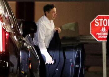 The new service comes amid layoffs after Elon Musk purchased the company and became CEO.