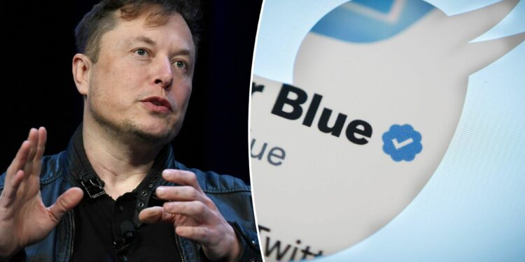 Twitter Blue annual subscription plan has 'verified' badge