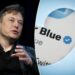 Twitter Blue annual subscription plan has 'verified' badge