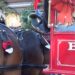 Horses pulling a Budweiser wagon.