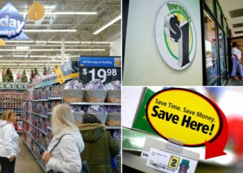 Inflation-battered shoppers turn to dollar stores for groceries