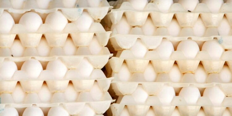 Cal-Maine Foods, the nation's largest producer of eggs, reported soaring profits last quarter.