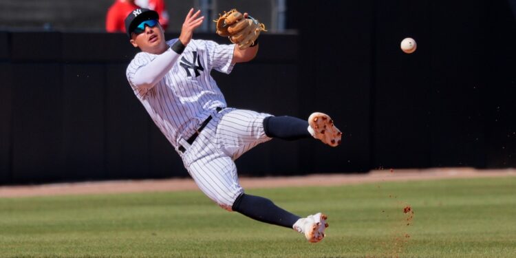 Anthony Volpe during Yankees spring training.