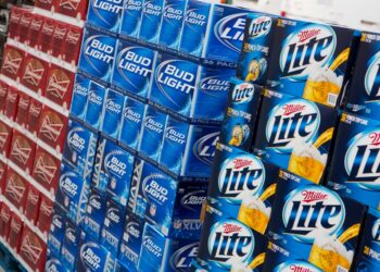 Budweiser, Bud Light and Miller Lite beer on display