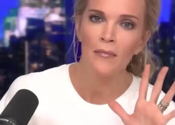 Megyn Kelly was critical of the US Navy's use of a non-binary drag queen to help its recruitment drive.