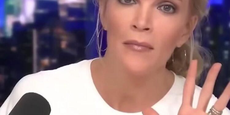 Megyn Kelly was critical of the US Navy's use of a non-binary drag queen to help its recruitment drive.
