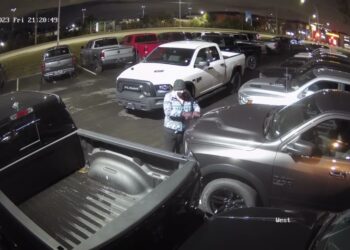 Surveillance footage from car dealerships in British Columbia show a middle-aged woman keying more than 400 vehicles "one-by-one" over the course of four months.