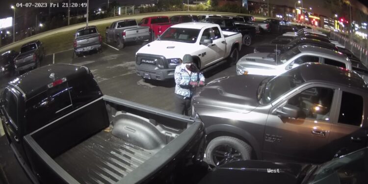 Surveillance footage from car dealerships in British Columbia show a middle-aged woman keying more than 400 vehicles "one-by-one" over the course of four months.