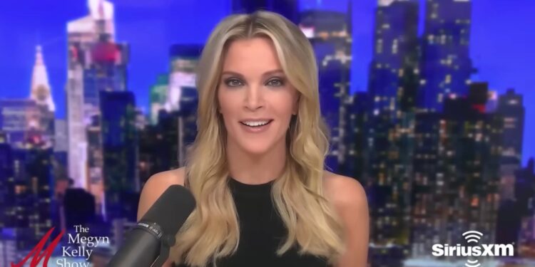 Megyn Kelly slammed Bud Light and parent company Anheuser-Busch during her SiriusXM podcast on Wednesday.