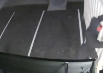 A masked thief sawed a hole in the roof of Lincoln Fine Wines in Venice, Calif., before descending into the shop's cellar and swiping $600,000 worth of inventory.