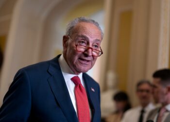 Senate Majority Leader Chuck Schumer (D-NY)