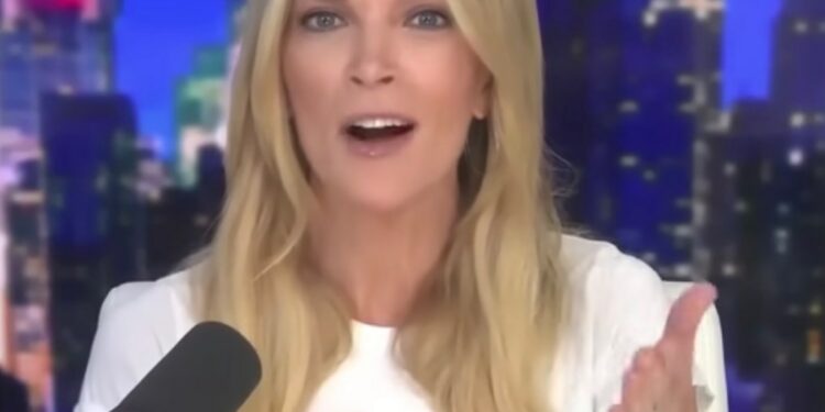 Megyn Kelly bashed Kim Kardashian's Skims for being "all about sucking in your fat so you can look better." She said the brand encourages young girls to "have other people look at them instead of listen to them."