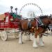Anheuser-Busch has agreed to stop amputating the tails off Budweiser's iconic Clydesdale horses after animal-rights group PETA bashed the brewer for the unethical practice.