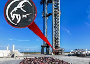 Users on social media first pointed out the nearly-identical logo after a photo of SpaceX's team posing in front of a launchpad in Texas began circulating on X, formerly known as Twitter.