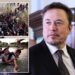 Elon Musk going to Eagle Pass to see US-Mexico border