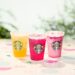 Court docs filed by the plaintiffs proclaim that "unbeknownst to consumers, the Mango Dragonfruit and Mango Dragonfruit Lemonade Refreshers contain no mango, the Pineapple Passionfruit and Pineapple Passionfruit Lemonade Refreshers contain no passionfruit, and the Strawberry Acai and Strawberry Acai Lemonade Refreshers contain no acai."