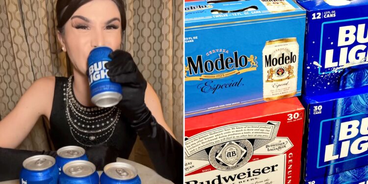 AB InBev's US sales plunge more than 13% on Bud Light fiasco