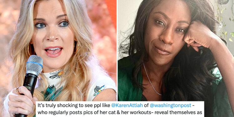 Megyn Kelly slams WaPo writer as 'antisemite' over seemingly pro-Hamas tweet