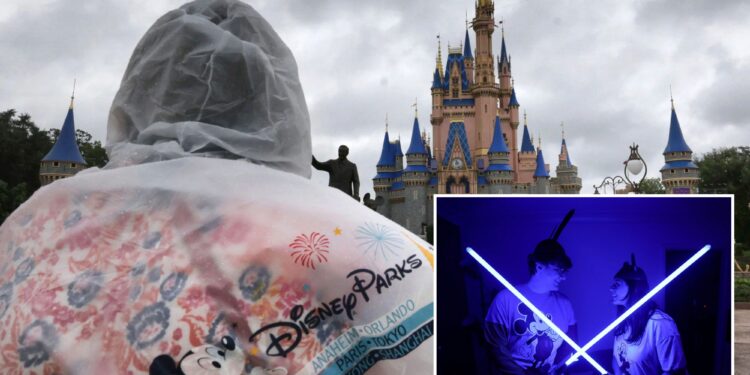 Disney World visitors slam soaring prices: 'I felt violated'