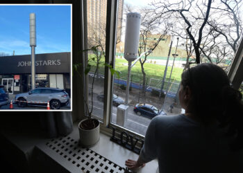 New Yorkers back cell phone towers, outnumber critics: poll