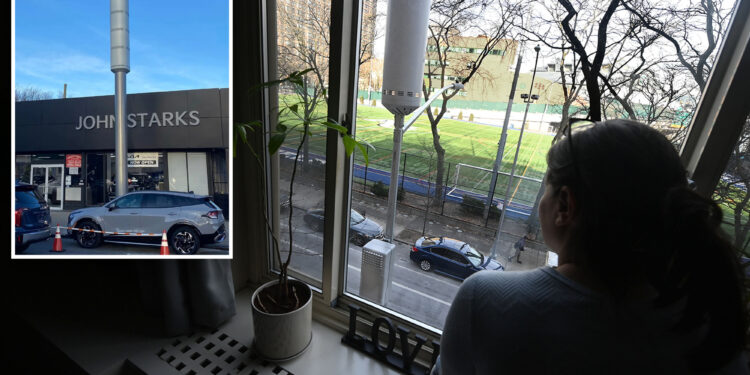 New Yorkers back cell phone towers, outnumber critics: poll