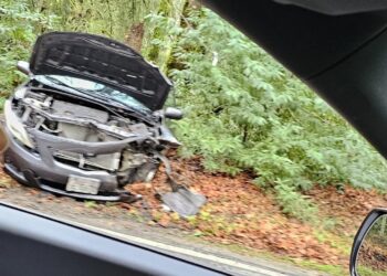 Images from the crash, which took place Thursday on California's Skyline Boulevard, showed a wrecked 2009 Toyota Corolla.