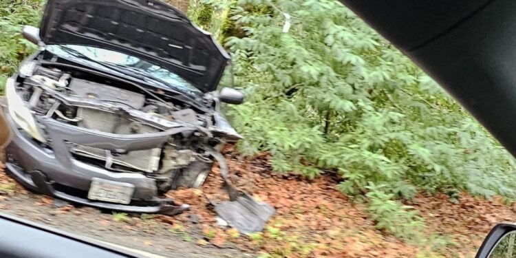 Images from the crash, which took place Thursday on California's Skyline Boulevard, showed a wrecked 2009 Toyota Corolla.