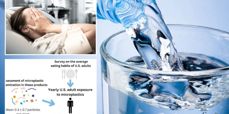 Microplastics cost US $250B, more than entire COVID pandemic: study