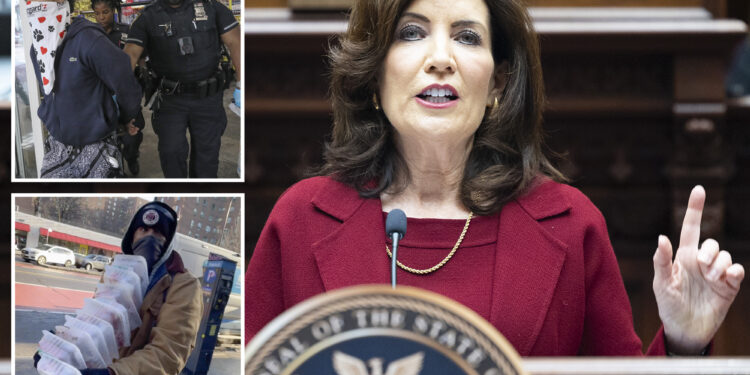 NY Gov. Kathy Hochul declares war against shoplifters in 2024 State of the State address