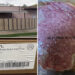 Nearly 7,000 pounds of beef recalled over 'potentially deadly' bacteria