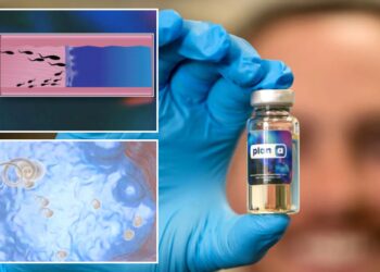 New male contraceptive is reversible, blocks sperm with injection