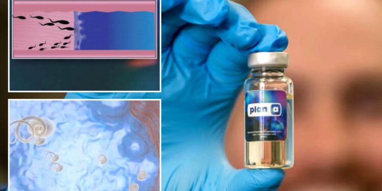 New male contraceptive is reversible, blocks sperm with injection